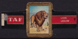 LION - Animal Mammals - Belgium Belgique - TAF - CIGAR CIGARS Label Vignette - Etiketten