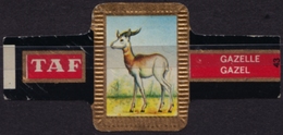 Gazelle - Animal Mammals - Belgium Belgique - TAF - CIGAR CIGARS Label Vignette - Etiquetas