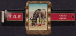 GNOE GNOU Wildebeest - Animal Mammals - Belgium Belgique - TAF - CIGAR CIGARS Label Vignette - Etiquettes