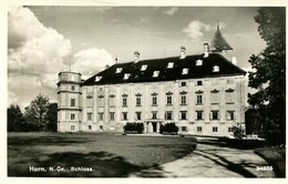 003619 Horn - Schloss 1953 - Horn