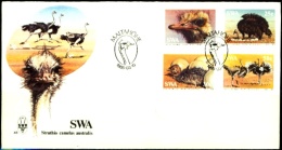 BIRDS-FLIGHTLESS BIRDS-OSTRICHES-FDC-SWA-1995-BX1-378 - Autruches