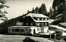 003644 Steinhaus Am Semmering - Alpengasthof "Pfaffensattel 1972 - Steinhaus Am Semmering