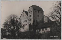 Schloss Wildegg - Photo: Globetrotter - Wildegg