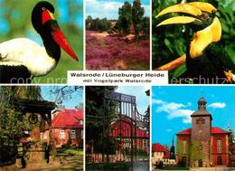 72854746 Walsrode Lueneburger Heide Vogelpark Walsrode - Walsrode