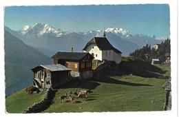 Svizzera Bettmeralp (Wallis) Mit Fletschhorn, Mischabel Und Matterhorn Viaggiata - Bettmeralp