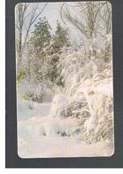 ROMANIA (ROMANIA) - 2005 WINTER - USED  -  RIF. 10759 - Seizoenen