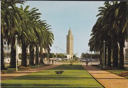 MAROC---RABAT---boulevard Mohammed V---( Mosquée )--voir 2 Scans - Rabat