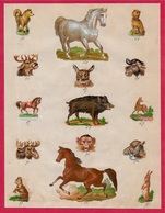 Petite Planche De DECOUPIS ANCIENS Fin XIXe Numérotés (échantillons ?) ANIMAUX * Chromo Chromos - Animaux