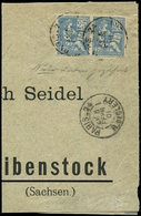 Let VARIETES 114   Mouchon, 25c. Bleu, PAIRE DENTELEE 1 COTE Sur Devant D'Env. Rec. Pour L'Allemagne, Probablement Uniqu - Unused Stamps