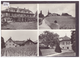 FORMAT 10x15 Cm - DISTRICT D'AUBONNE - FECHY - TB - Féchy