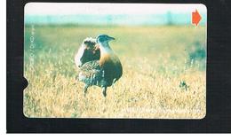 TURCHIA  (TURKEY)  -  1999   ANIMALS: BUSTARD                                           - USED - RIF. 10764 - Hühnervögel & Fasanen