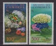 Comores, 2 Timbres Neufs Sans Charnière, Faune Marine - Airmail