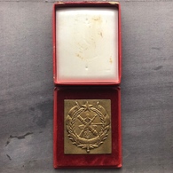 Delcampe - Medal / Plaque (Plakette) PL000069 - Military (Army) Yugoslavia - Other & Unclassified