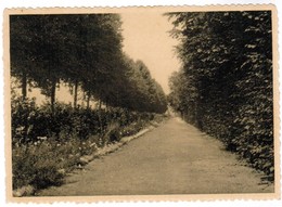 Eeklo, Eecloo, O.L.V Ten Doorn Inrichting (pk44241) - Eeklo