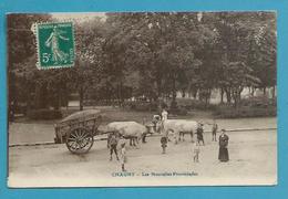 CPA - Attelage Boeufs - Les Nouvelles Promenades CHAUNY 02 - Chauny