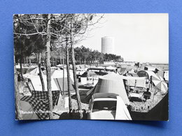 Cartolina Marina Di Massa - Camping E Torre Fiat - 1962 - Massa