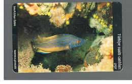 TURCHIA  (TURKEY)  -  2005 FISHES: PEACOCK WRASSE                                      - USED - RIF. 10778 - Peces