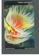 TURCHIA  (TURKEY)  -  2005 MARINE LIFE: BRISTLE WORM                                   - USED - RIF. 10779 - Peces