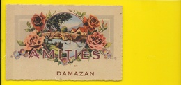 DAMAZAN Fantaisie Amitiés Fleurs (ROB) Lot & Garonne (47) - Damazan