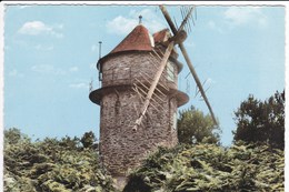 GUER - Le Moulin Des Rochelets (timbre Franchise Militaire) - Guer Coetquidan