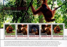 Netherlands - 2018 - Endangered Mammals - Sumatran Orangutan - Mint Souvenir Sheet - Unused Stamps