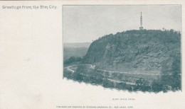 New Haven Connecticut, Greetings From 'Elm City' East Rock Park View Of Hill, C1900s Vintage Postcard - New Haven