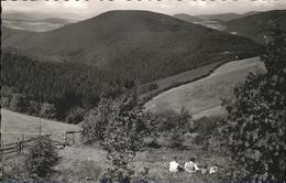 41278213 Astenberger Aussichtsturm Astenblick Hoher Knochen Schmallenberg - Schmallenberg