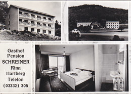 Hartberg - Gasthof Pension Schreiner - Hartberg