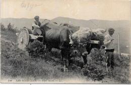 Cpa Région Pyrénées  Attelage Métier Non Circulé Attelage Basque à San Sébastian Espagne Spain - Midi-Pyrénées