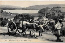 Cpa Région Auvergne Attelage Métier Non Circulé AYDAT - Auvergne