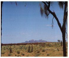 (800) Australia -  NT - The Olgas - Uluru & The Olgas