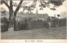 Carte Postale Ancienne De ARS SUR MOSELLE-Panorama - Ars Sur Moselle