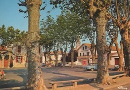 BIDACHE - La Place De La Mairie - Cim 0386 - écrite 1984 - Tbe - Bidache