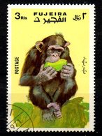 FUJEIRA. Timbre Oblitéré De 1971. Chimpanzé. - Chimpancés