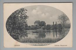 AK CH LU Sursee 1917-03-16 Foto Schloss Mauensee H.Friebel - Sursee