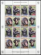 Guinea 2006, WWF, Chimmpanzees, Sheetlet - Schimpansen