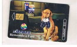 MESSICO (MEXICO) - CINEMEX, DOG - USED - RIF.   10788 - Chiens