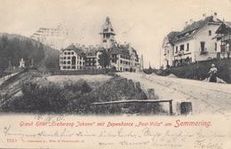 1901 SEMMERING (NÖ) - Grand Hotel Erzherzog Johann Mit Dependance Post Villa, Litho Gel.1901 - Semmering
