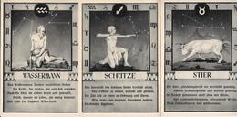 ASTROLOGIE : 3 Cartes Modernes HOROSCOPE ALLEMAND - WASSERMANN -SCHUTEZ - STIER - Astrology