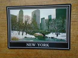 New York City , Winter In Central Park  " Beau Timbre " - Central Park