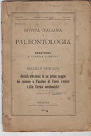 Fossili Rinvenuti In Un Primo Saggio Del Calcare A Fusuline Di Forni A Voltri Par Michele Gortani. Joseph Caralp. - Wissenschaften