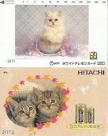 2 X Japan Phonecard Katze Cat Chien - Cats
