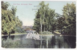 WORCESTER MA, Elm Park, Water Fountain On Lake, C1910s Vintage Old Postcard - Worcester