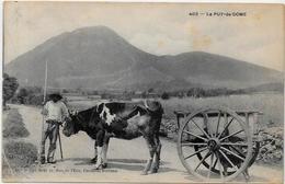 CPA Région Auvergne Métier Circulé Attelage - Auvergne