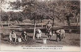 CPA Région Normandie Métier écrite Pommes - Basse-Normandie