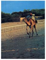 (225) Bahrain With Stamp - Camel Racing - Baharain