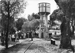 83-FREJUS- LE PETIT TRAIN EN GARE CITE ROMAINE DE LA TOUR DE MARE - Frejus