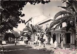 83-LE LAVANDOU- PLACE DE LA MAIRIE - Le Lavandou