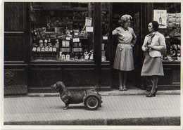 Robert DOISNEAU Dog On Wheels, Chien A Roulettes, Fotofolio, Devanture De Boutique , Bouteilles De Vin - Doisneau