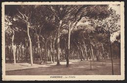 Viareggio (Lucca) - La Pineta - 1943 Non Viaggiata FP - Viareggio